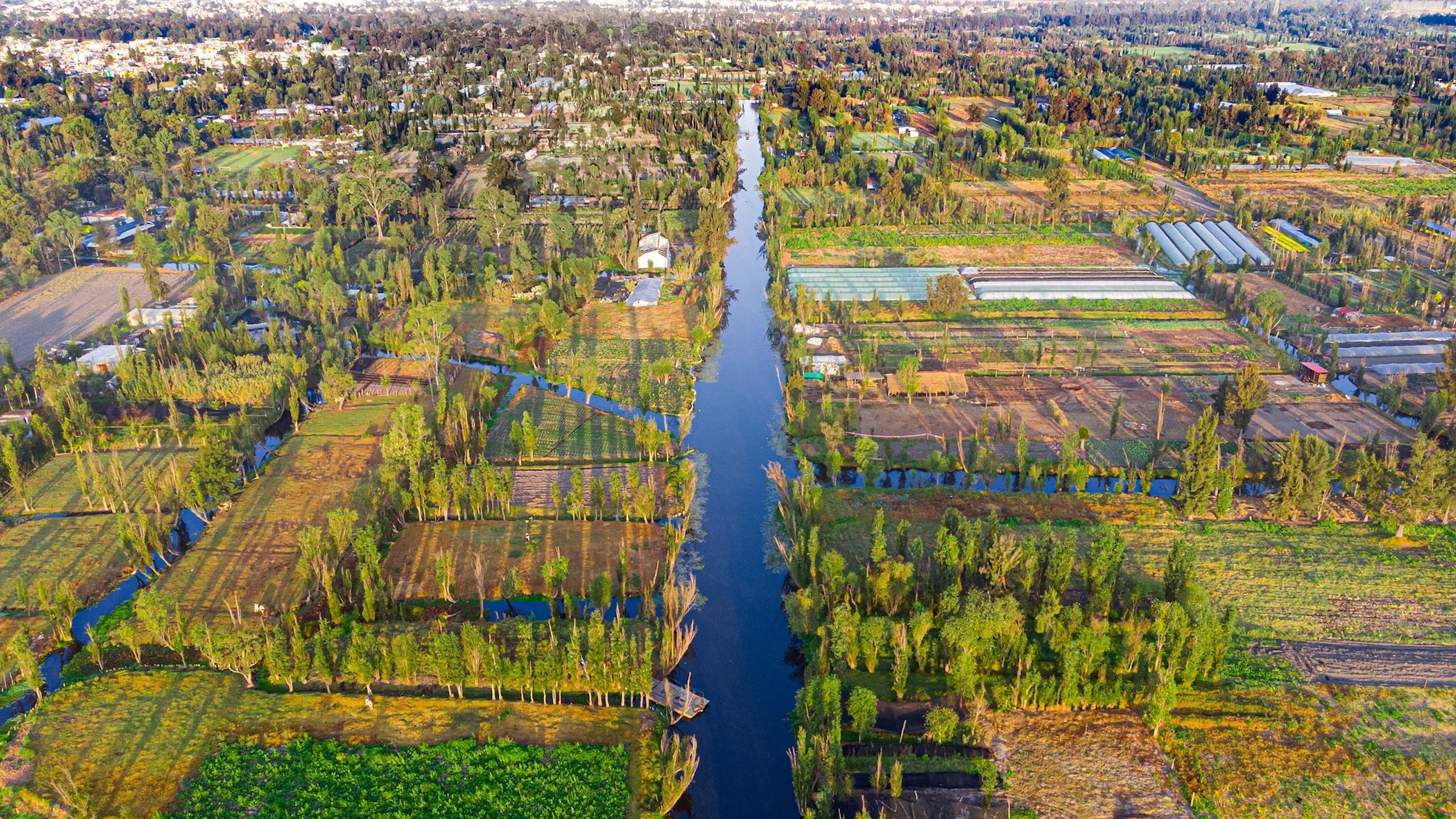 drone-4959052_1920 Chinampas: Agricultura Sostenible que Resiste al Tiempo