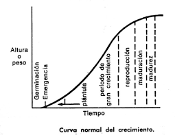 images-1 Cómo Interpretar Gráficos de Crecimiento Vegetal con Herramientas Digitales