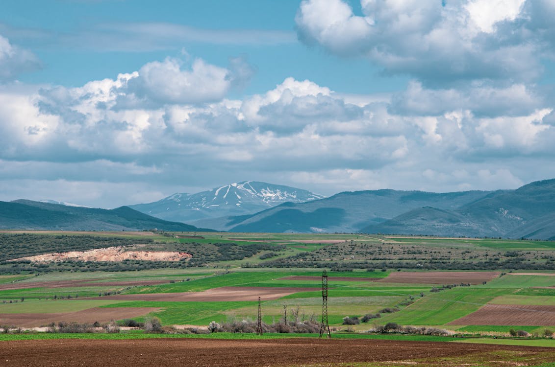 pexels-photo-11886655 Detecta y Domina los Microclimas de tu Terreno: Guía para Agricultores Exitosos