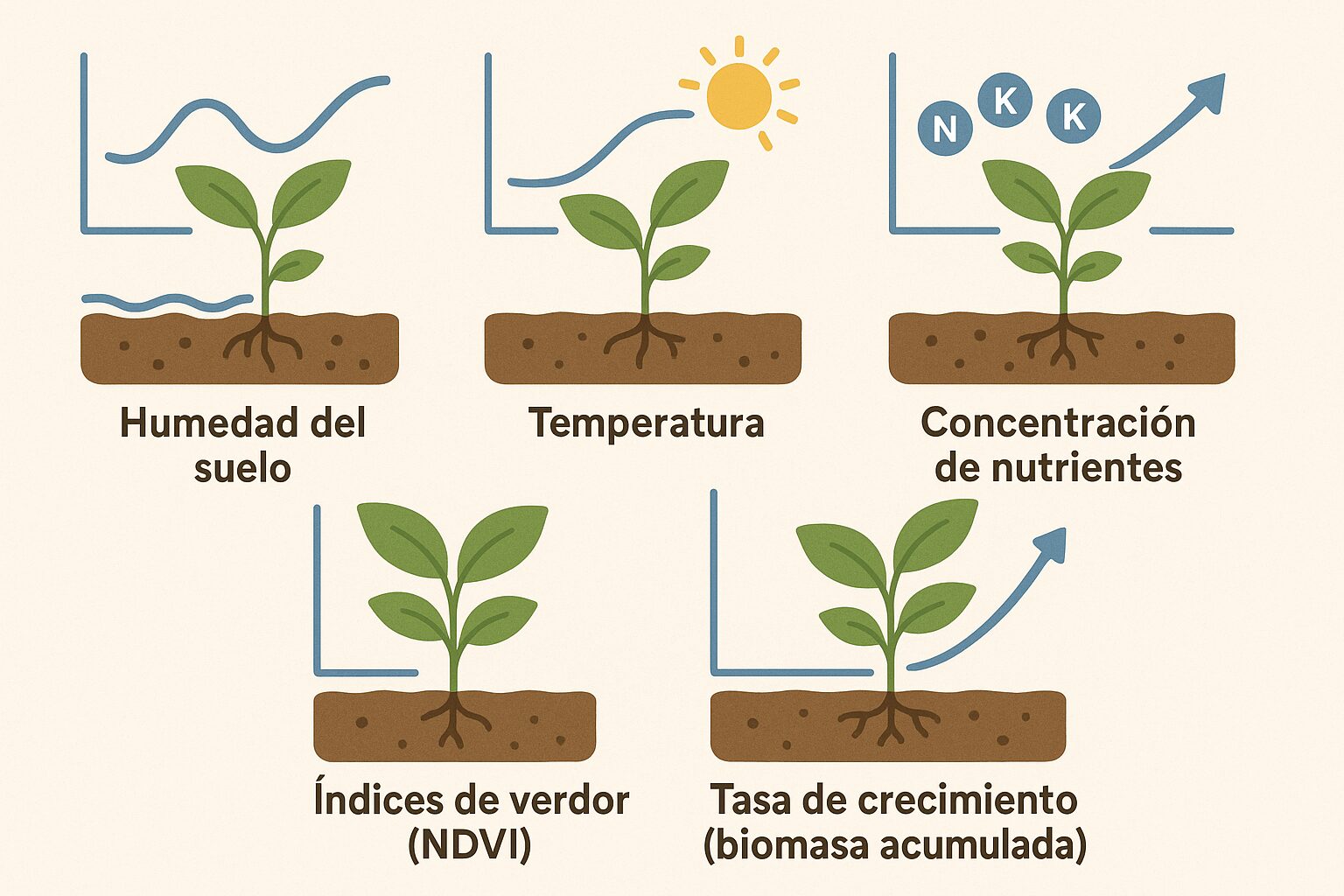 raw Cómo Interpretar Gráficos de Crecimiento Vegetal con Herramientas Digitales