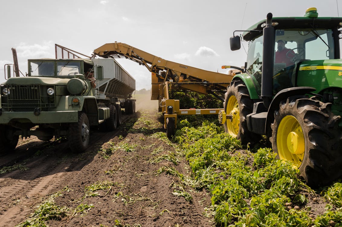 pexels-photo-2255801 Sostenibilidad: El Rol de Gapy en la Agricultura