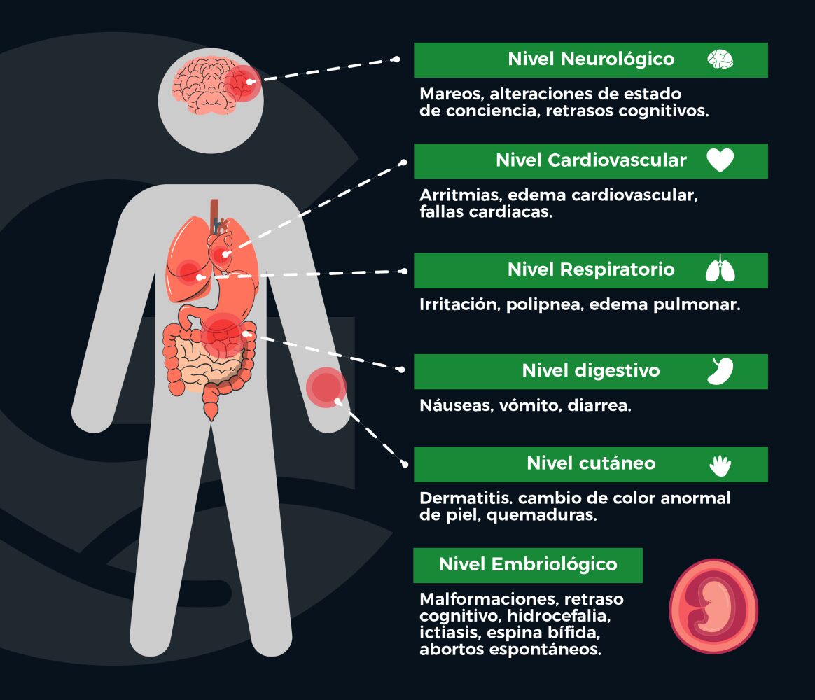 1685734332857 Prohibición de plaguicidas en México 2025: consecuencias para agricultores y transición hacia cultivos sostenibles